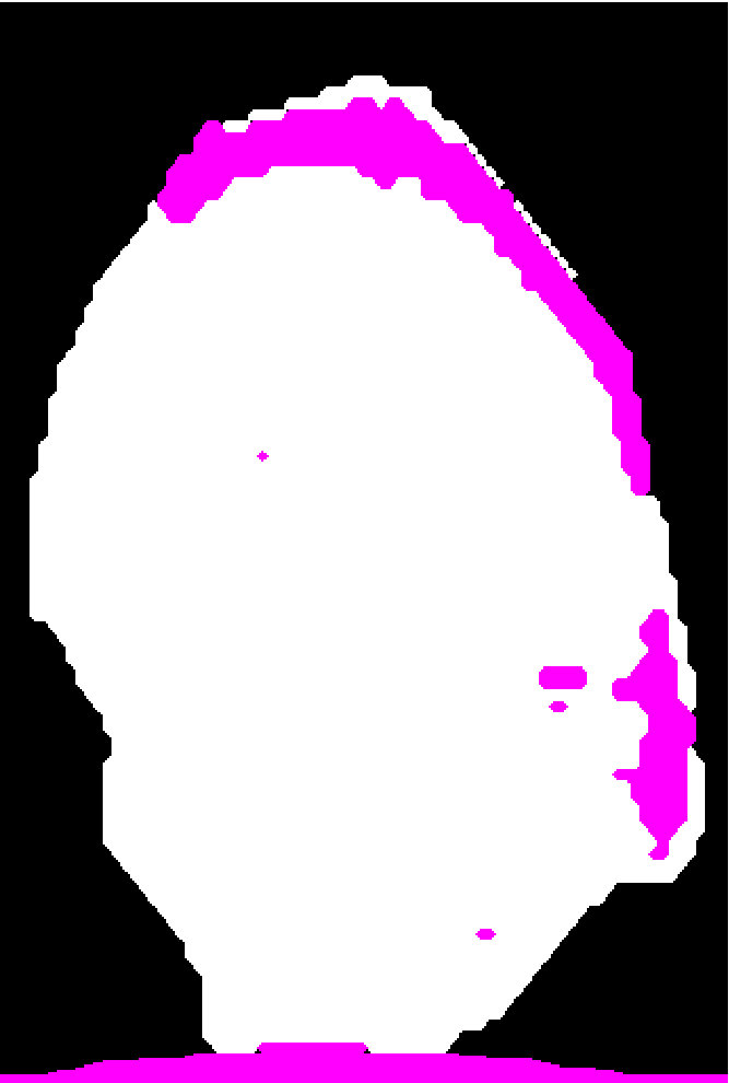 Figure 20