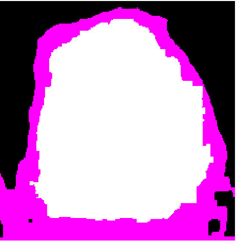 Figure 29