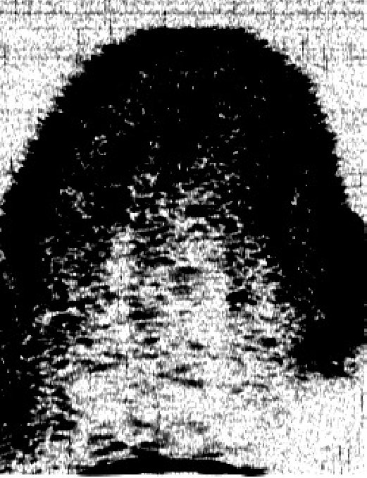 Figure 38