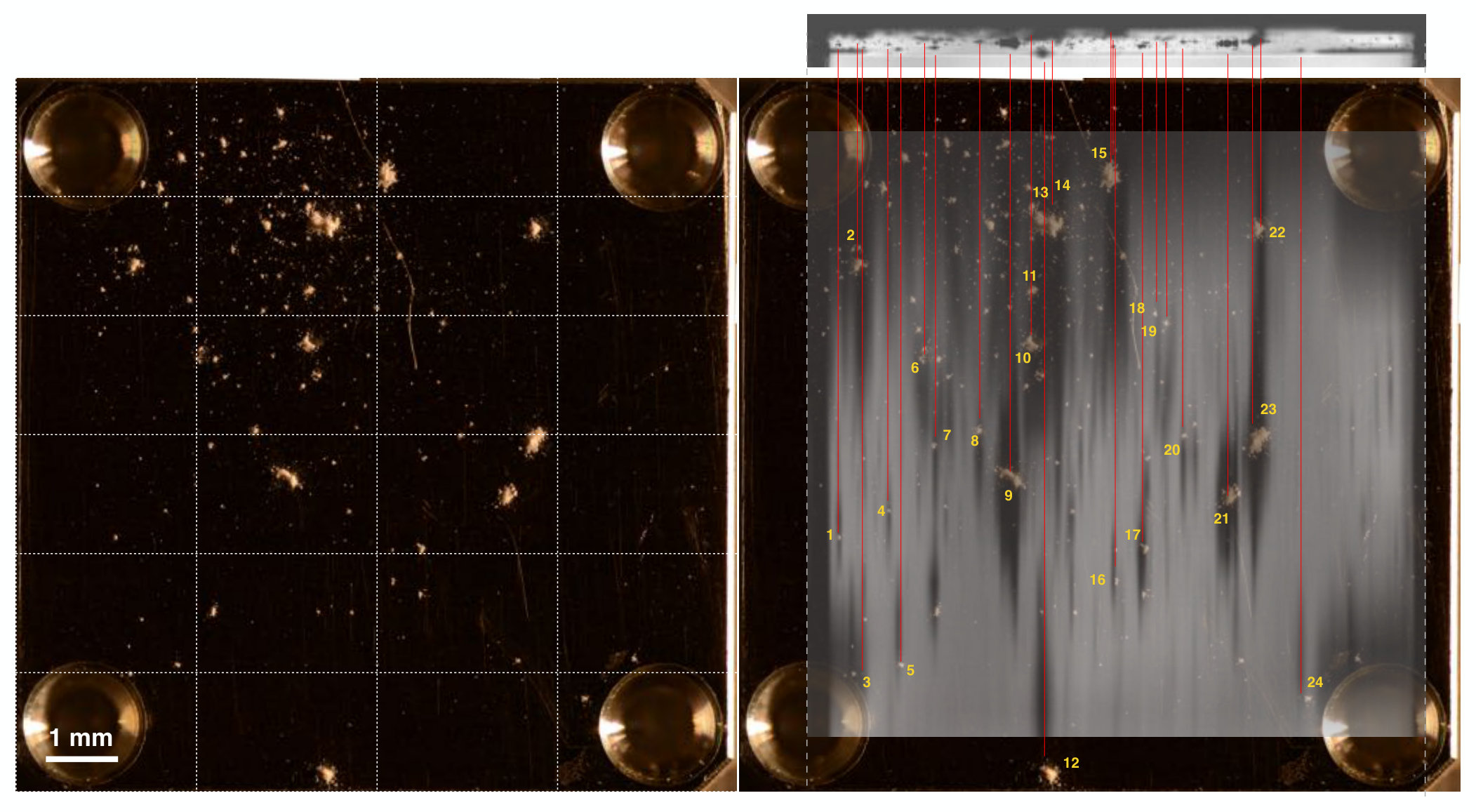 Figure 11