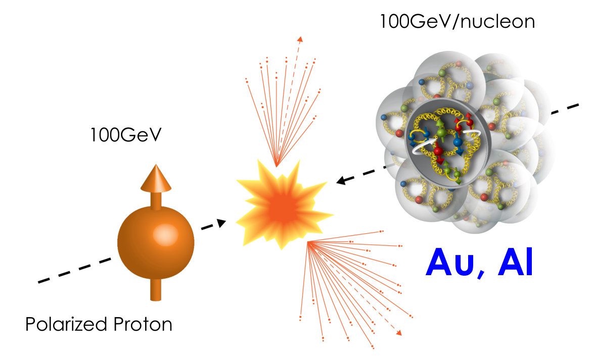 Figure 29