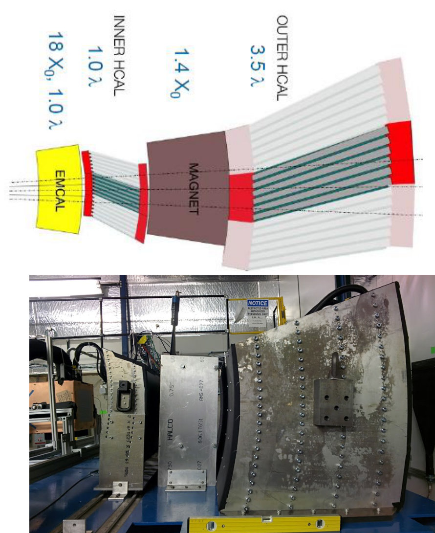 Figure 31