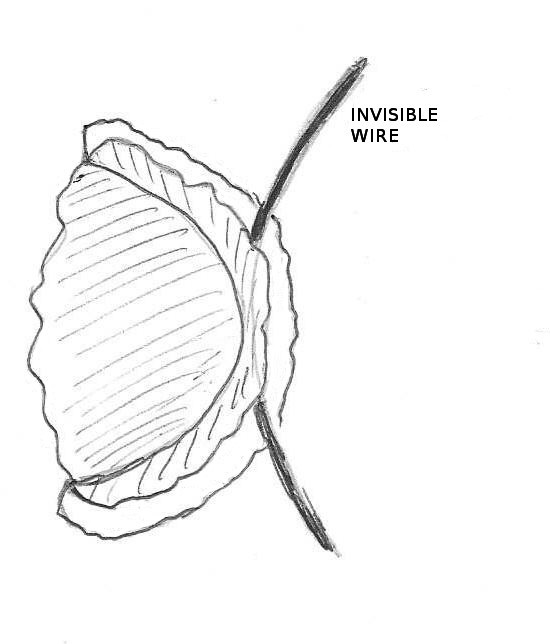 Figure 20