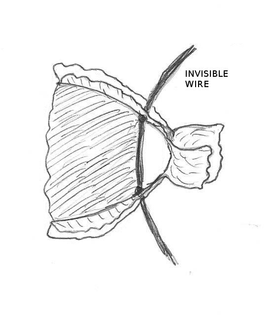 Figure 21