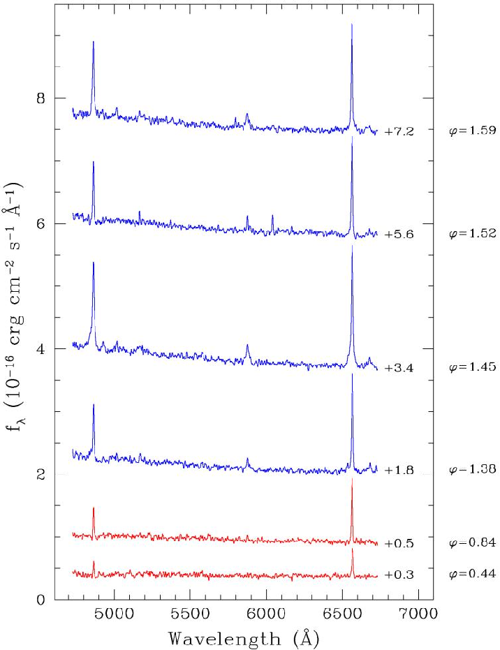 Figure 13