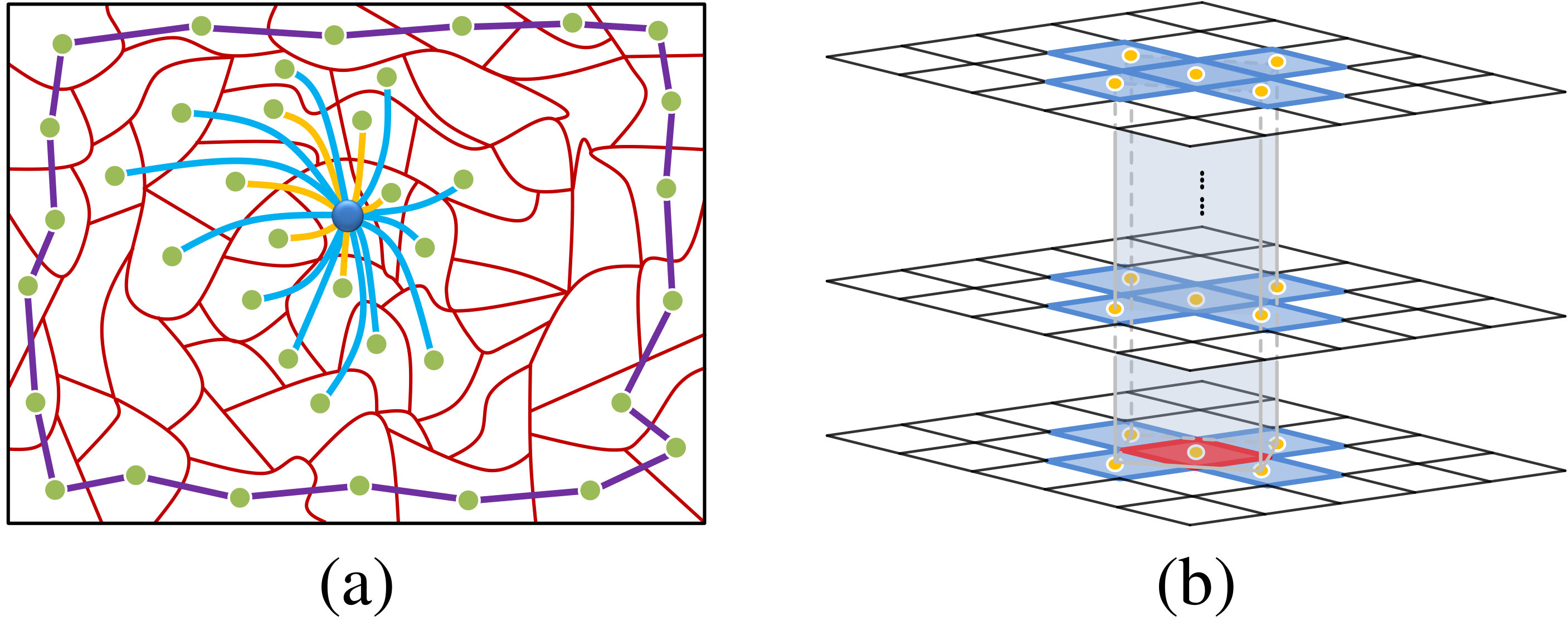 Figure 24