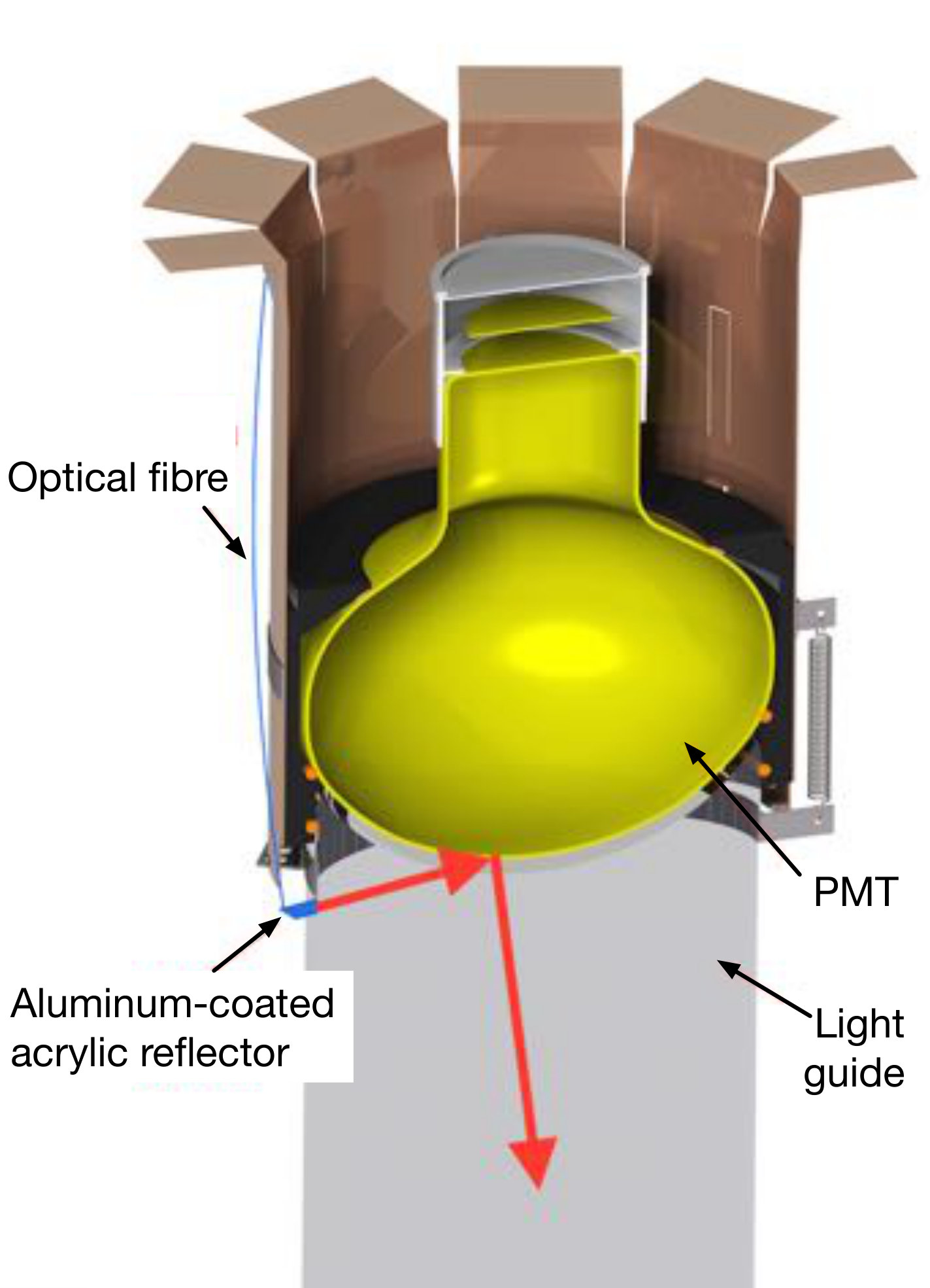 Figure 8