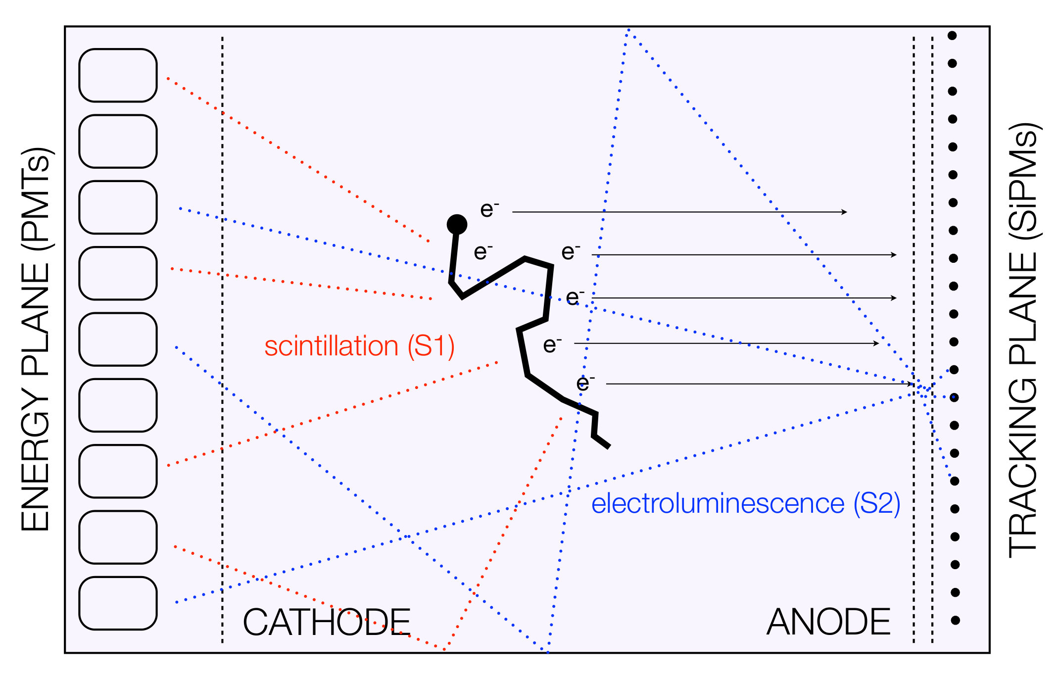 Figure 24