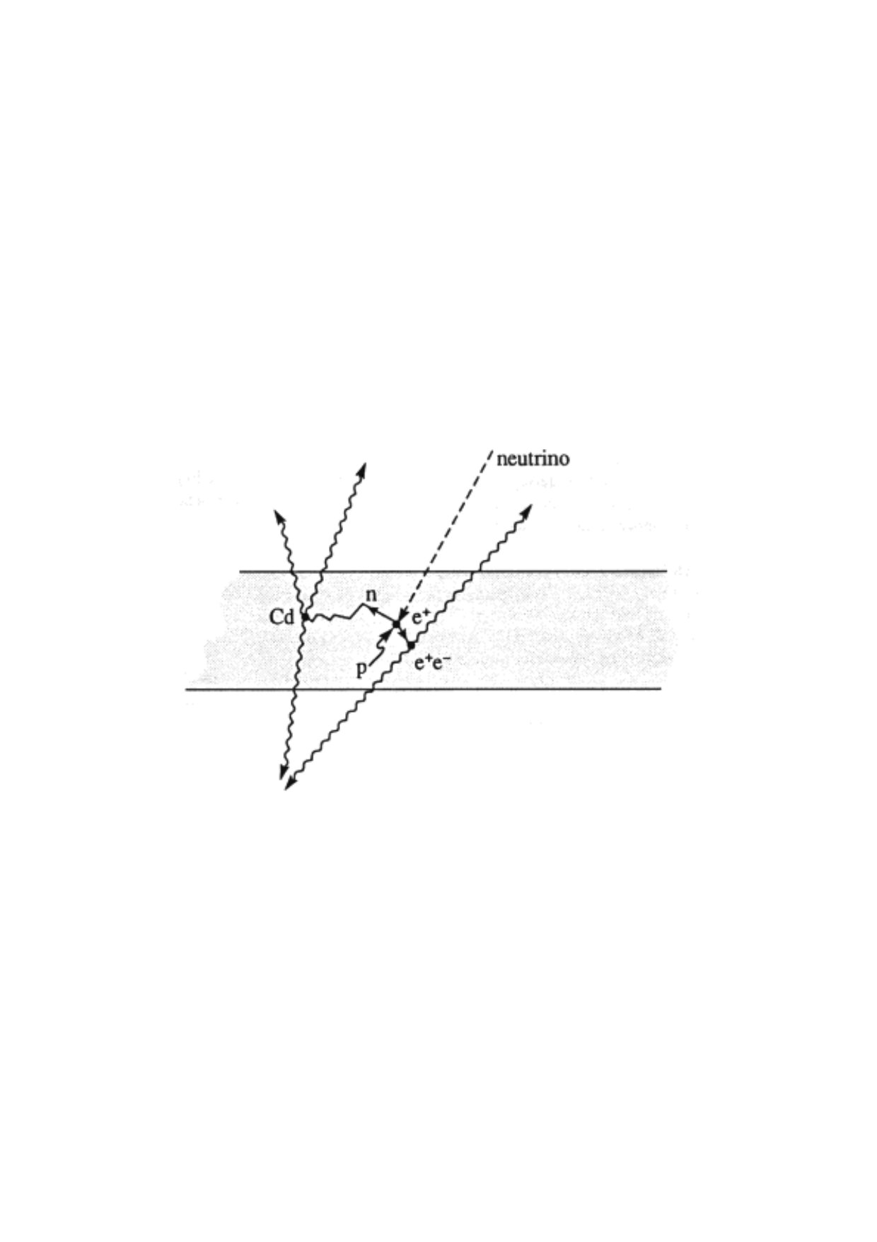 Figure 31