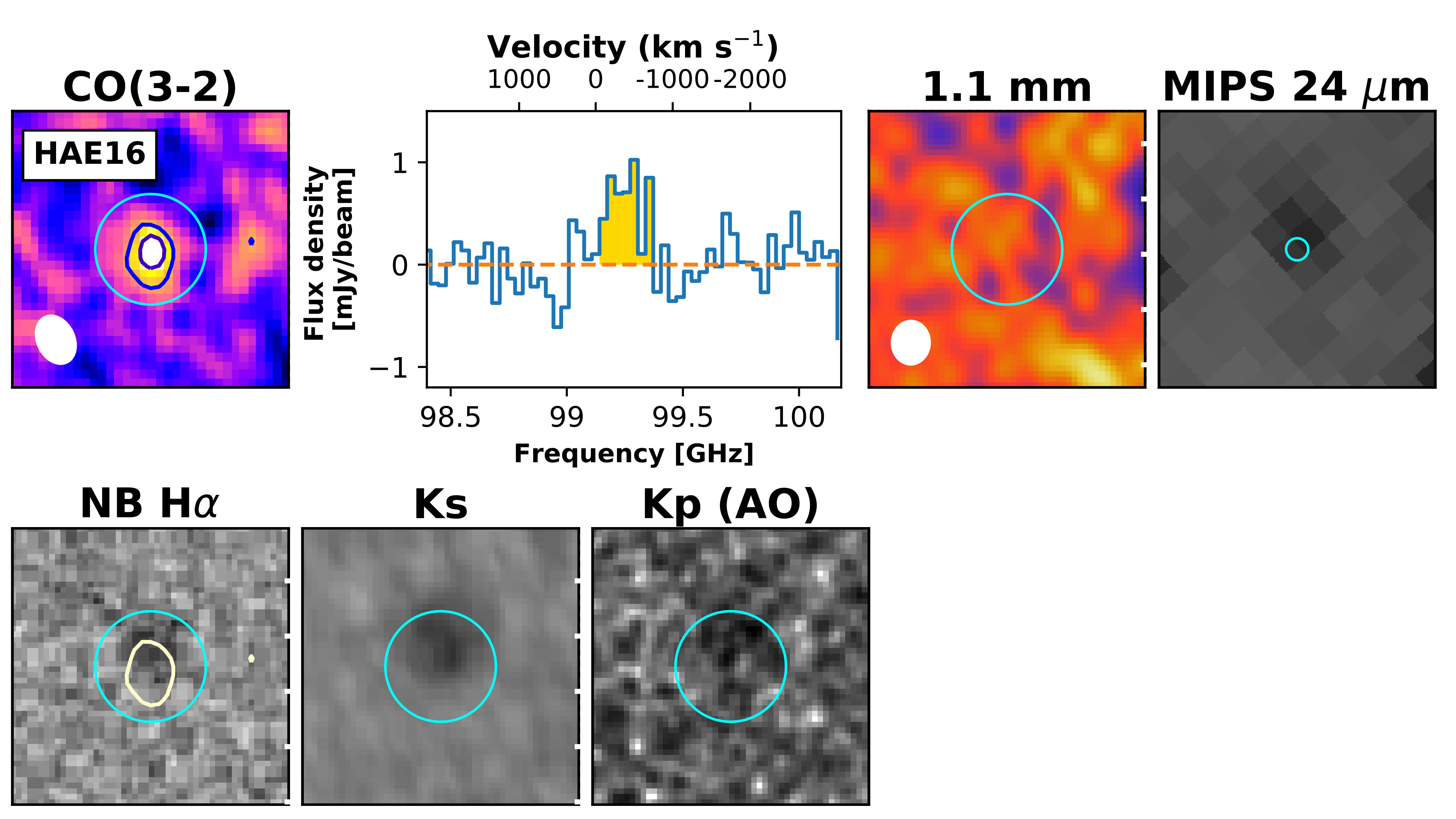 Figure 13