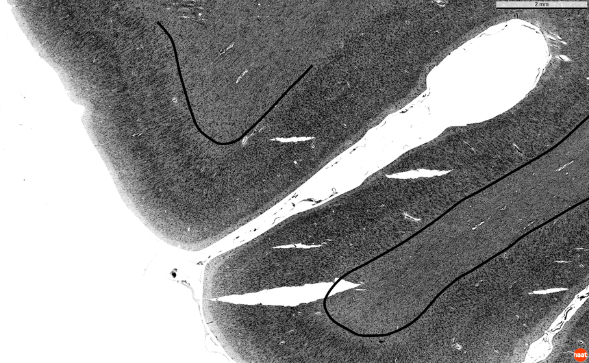 Figure 19