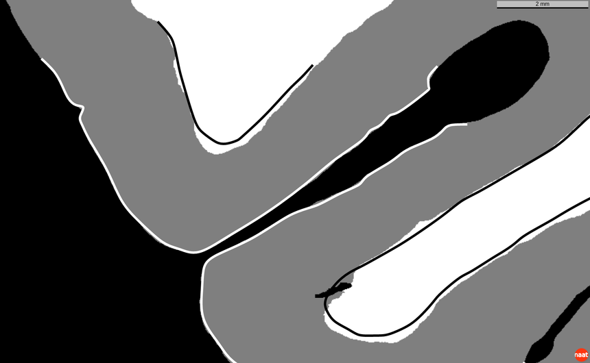 Figure 20