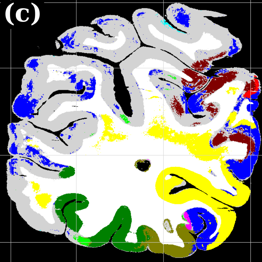 Figure 24