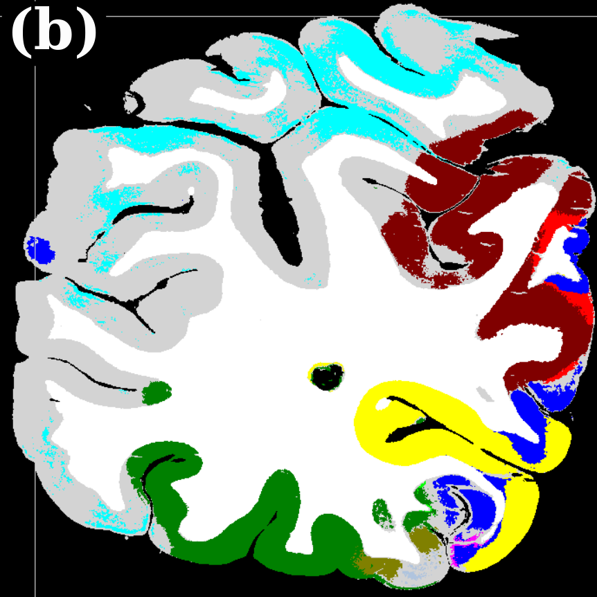 Figure 26