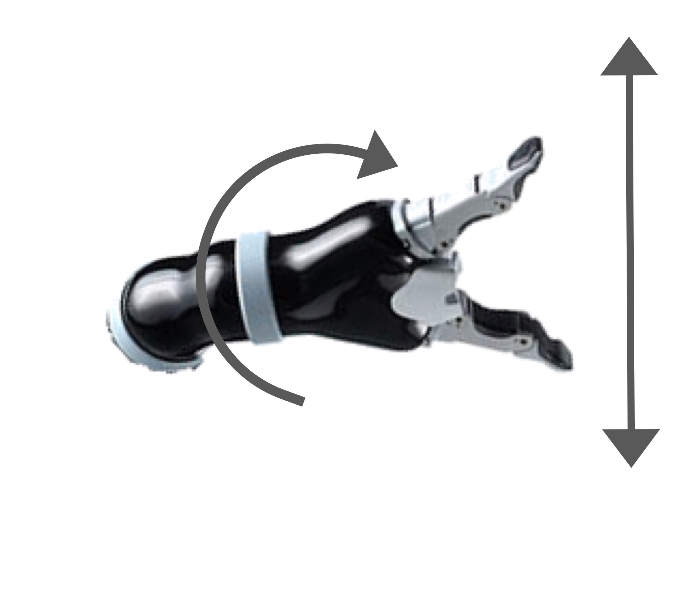 Figure 29