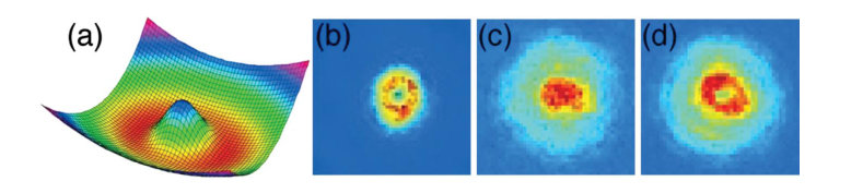 Figure 12