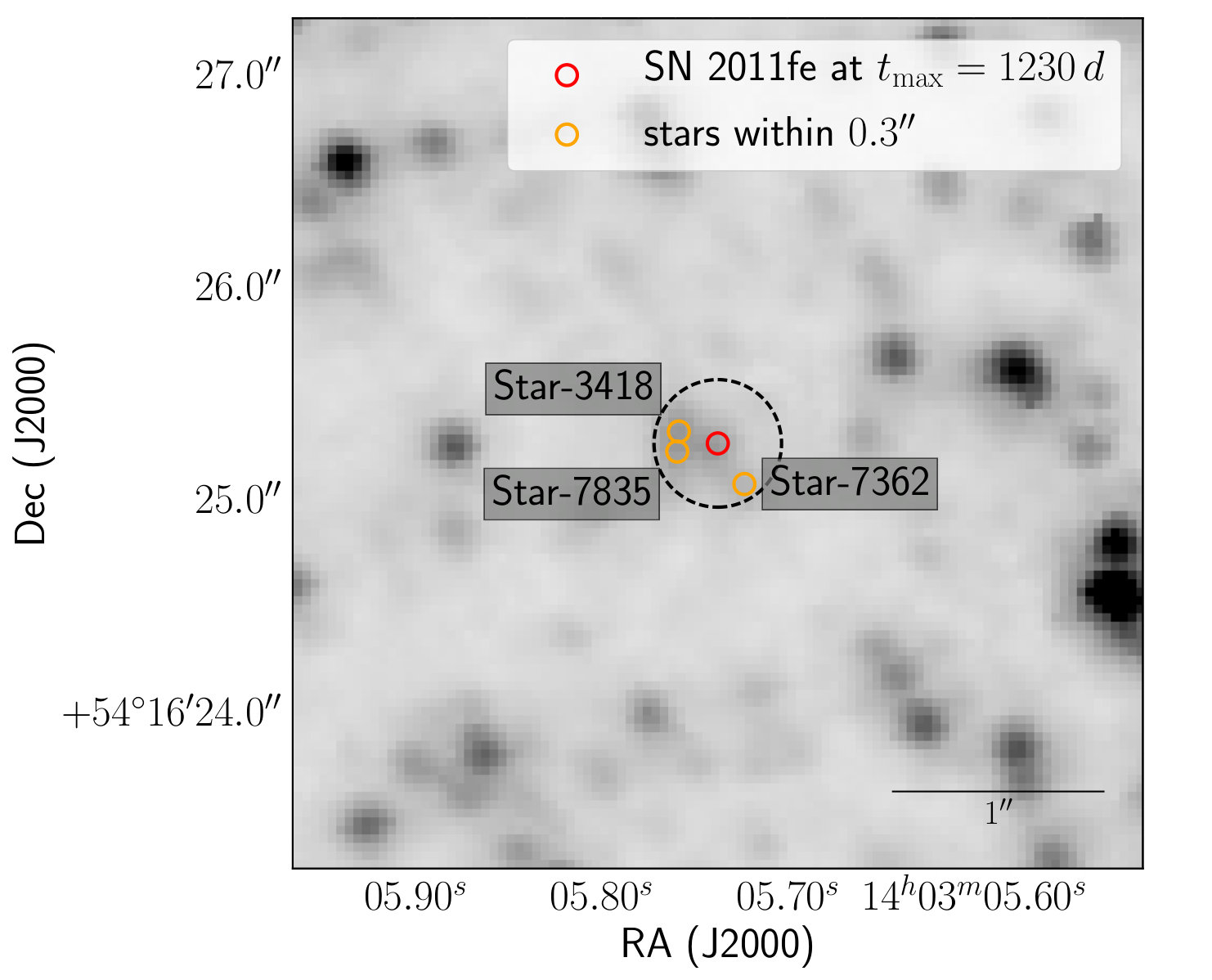Figure 23