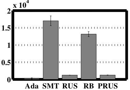 Figure 22