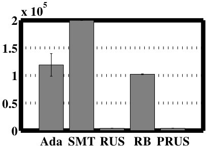 Figure 23
