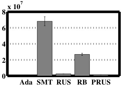 Figure 24