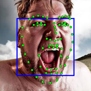 Figure 25