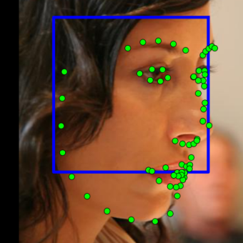 Figure 27