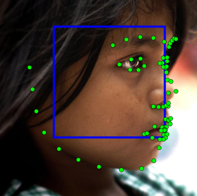 Figure 28
