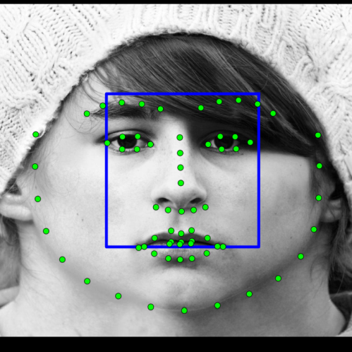 Figure 29