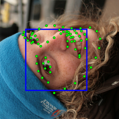 Figure 32