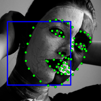 Figure 33