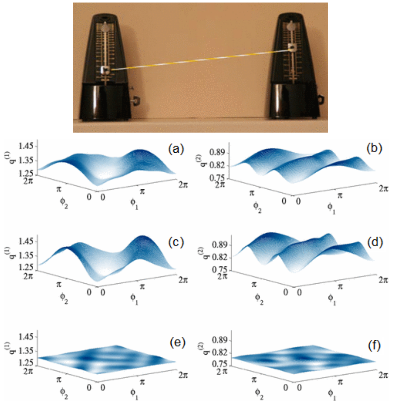Figure 31