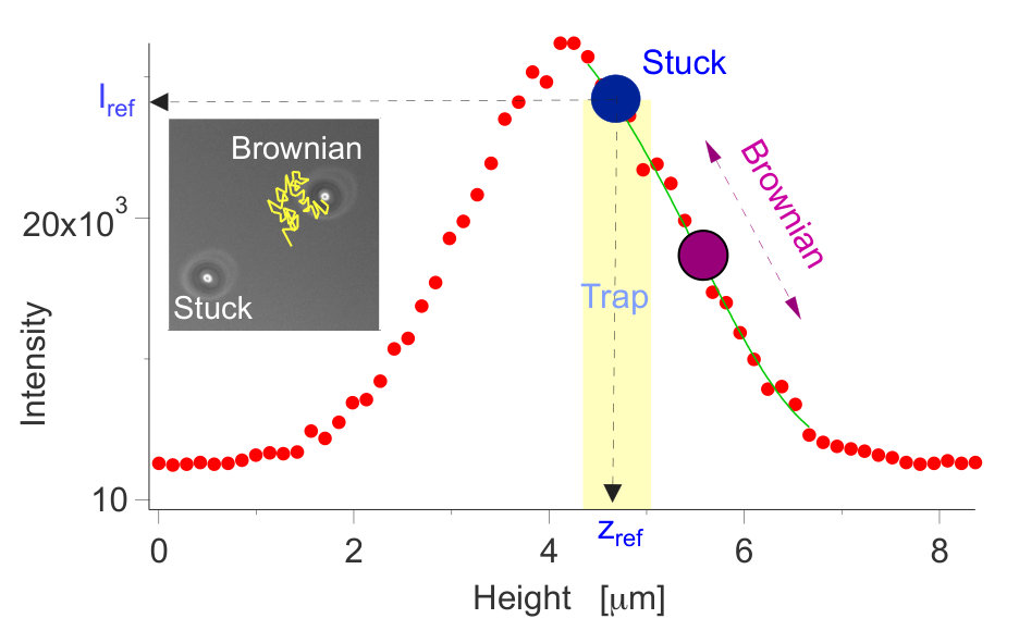 Figure 10
