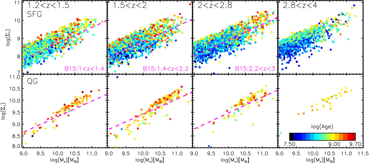 Figure 24