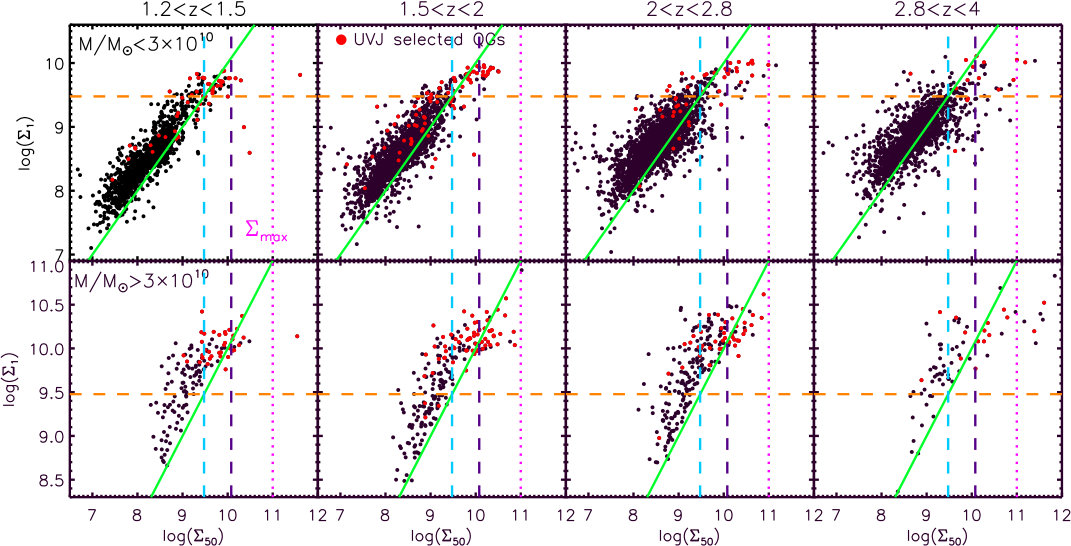 Figure 29