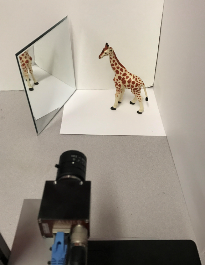 Figure 26