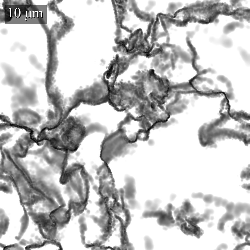 Figure 15