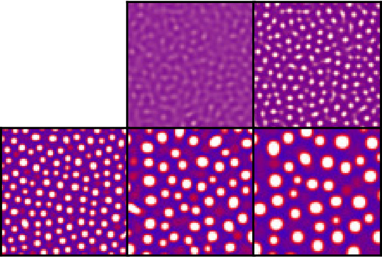 Figure 19