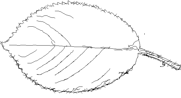 Figure 19
