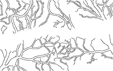 Figure 25