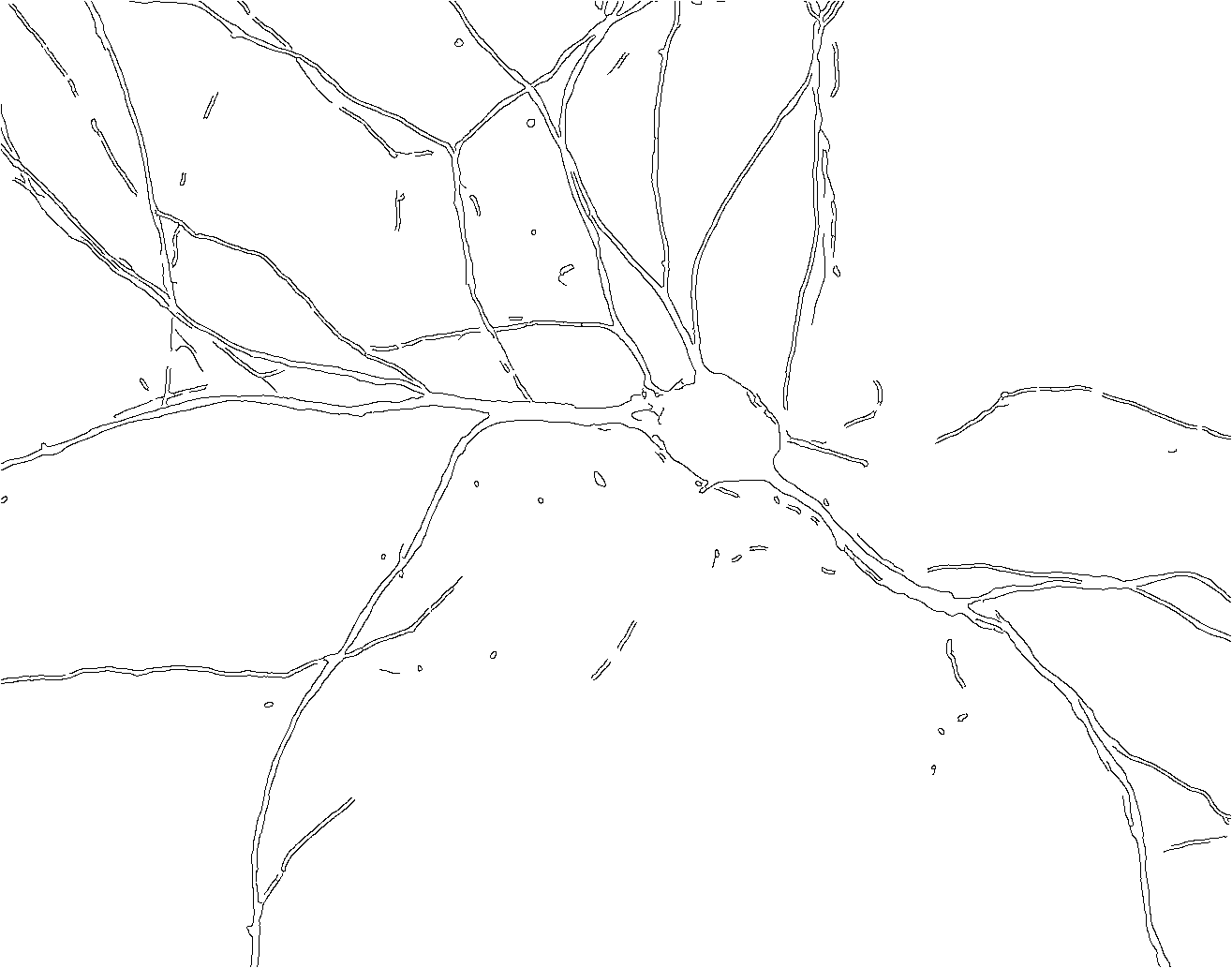 Figure 29