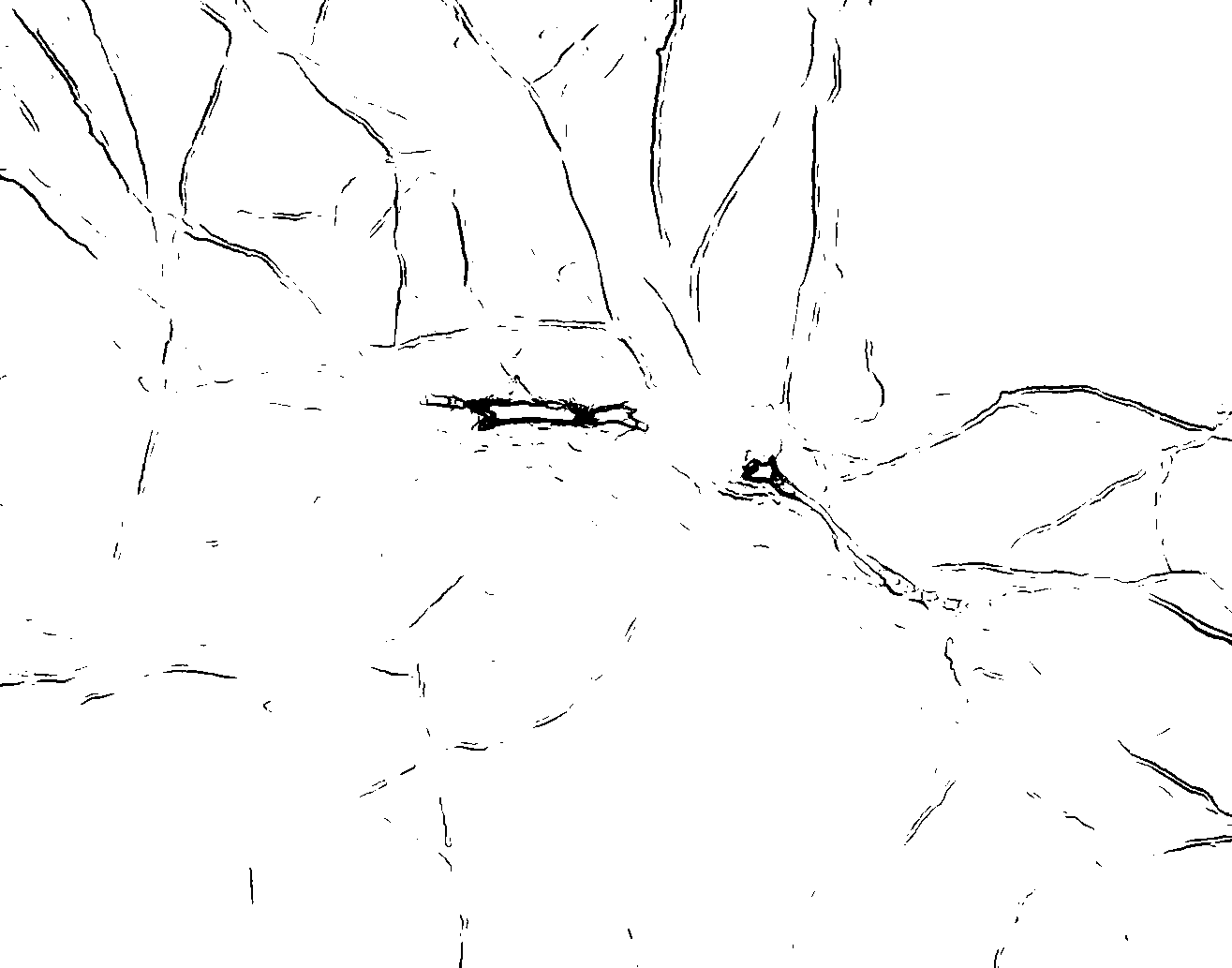 Figure 30