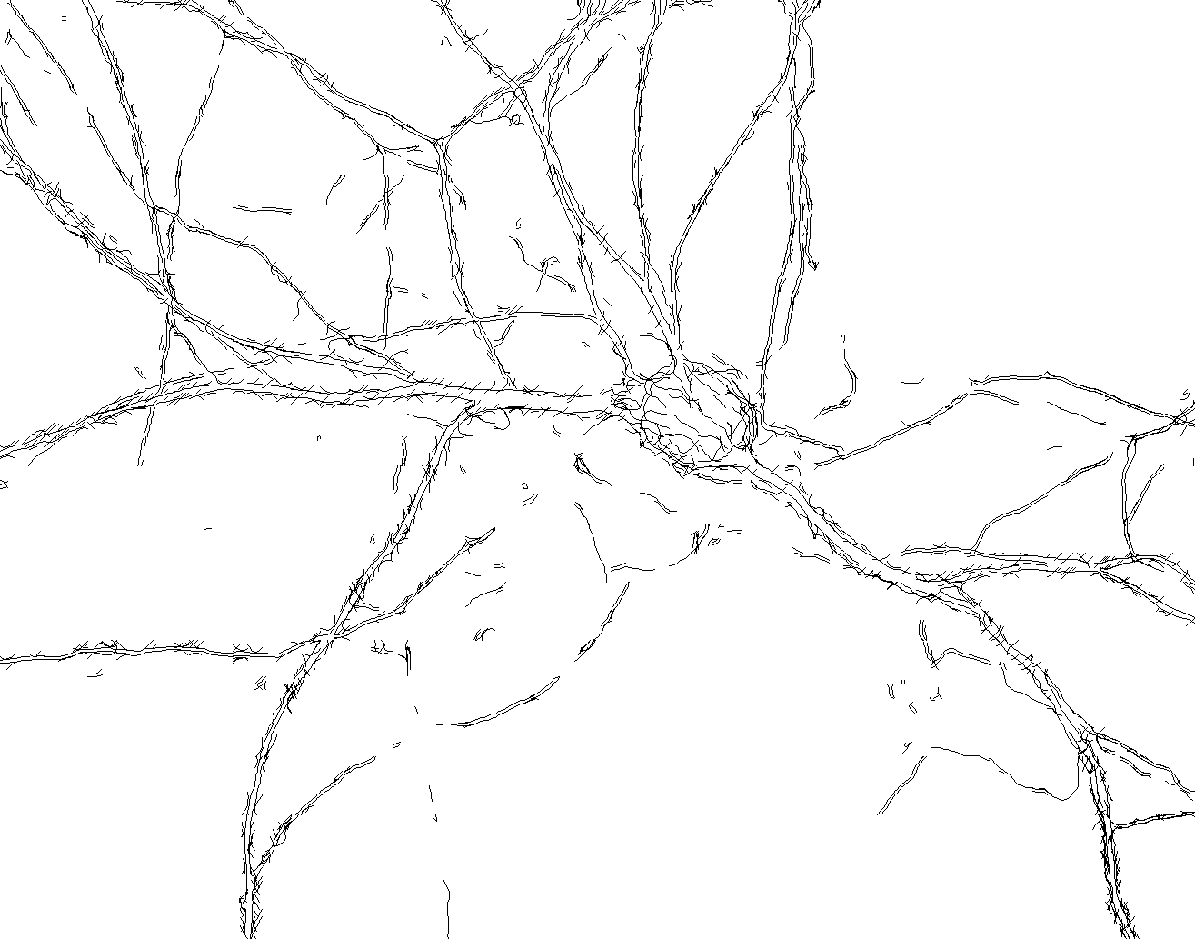 Figure 31