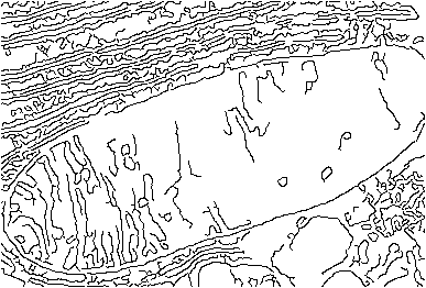 Figure 33