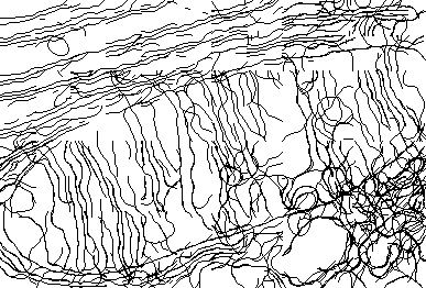 Figure 35