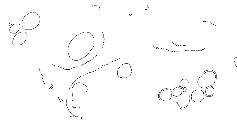 Figure 37