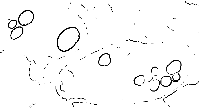 Figure 38