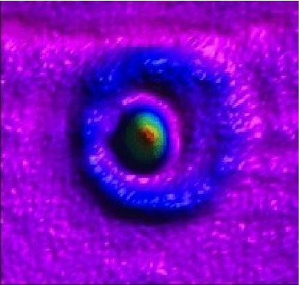 Figure 9