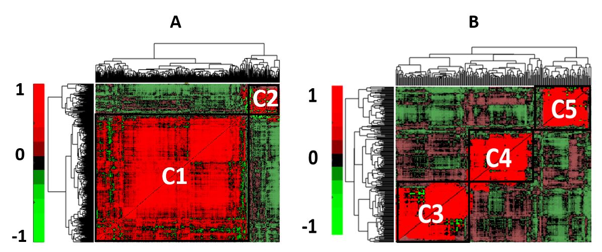 Figure 27