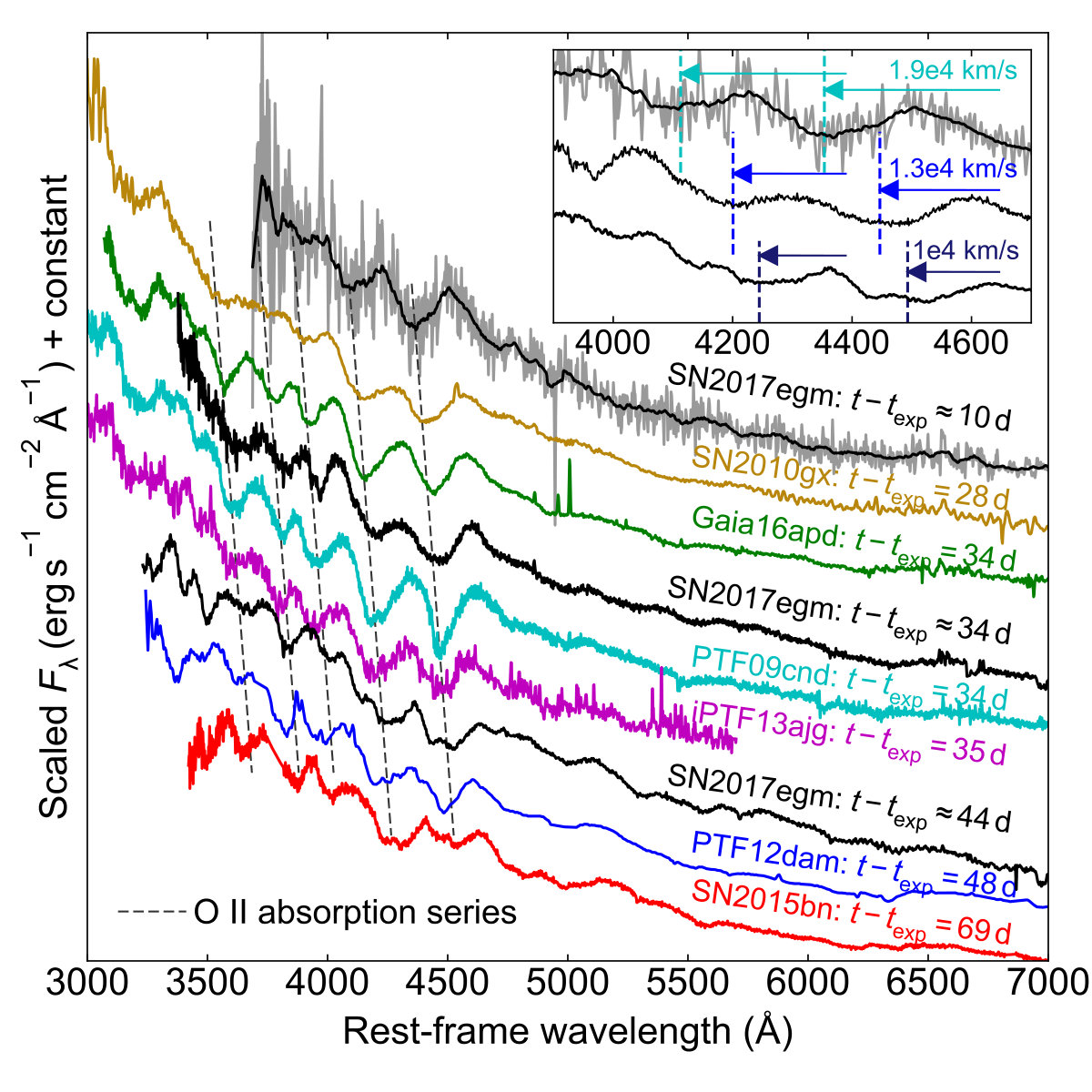 Figure 11