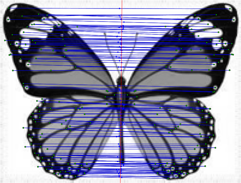 Figure 20